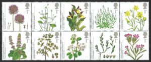 QEII 2009 Action for Species - Plants – unmounted mint